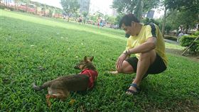 驚！壁蝨帶傳染病　毛孩恐正在感染這病症（圖／利眾公關）