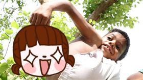 猴王,悟空,神猴,尾巴,印度,神明,欺負,霸凌,朝拜　圖／翻攝自鏡報https://goo.gl/DCXDFR