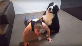 ▲狗當私人教練。（圖／翻攝自RM Videos YouTube）
https://www.youtube.com/watch?v=J1ea-gmNnfc