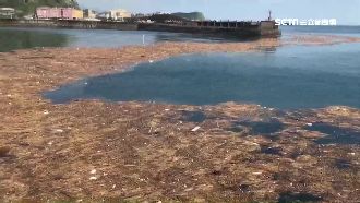 暴雨後垃圾堵漁港　進出船隻全被困