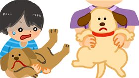 名家／毛起來／你抱狗狗的姿勢正確嗎？（勿用）