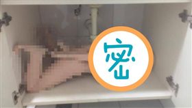 房客,房東,租房,搬家,女友,充氣娃娃,收納櫃
（圖／翻攝自靠北女友）