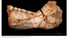 16:9
又提早了！最古智人化石出土　人類起源早了10萬年
圖／翻攝自紐約時報
https://www.nytimes.com/2017/06/07/science/human-fossils-morocco.html?_r=0