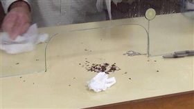 美國,臭蟲,床蝨,寄生蟲,奧古斯塔市 圖／翻攝自推特CustomBedbug