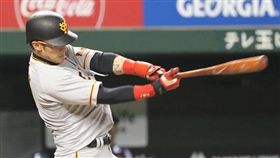 陽岱鋼。（圖／取自巨人官方粉絲團）