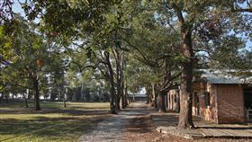 16:9
彰化 顏氏牧場 林飛帆 婚禮
圖／翻攝自顏氏牧場官網
http://www.changhua.yenpasture.com/