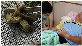 台中光德國中，蛇，總務主任，咬傷（圖／翻攝自爆料公社）