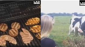 BBQ,烤肉,牛肉,牛　圖／翻攝自LADBIBLE