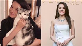 舒淇 / 翻攝自舒淇臉書