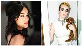 Katy Perry,凱蒂佩芮,直播,生活
圖／翻攝自Katy Perry粉絲專頁