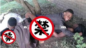 非洲馬拉威3P戶外春宮照（圖／翻攝自Nyasa Times）