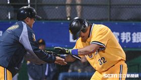 中信兄弟林智勝　圖／記者林敬旻攝