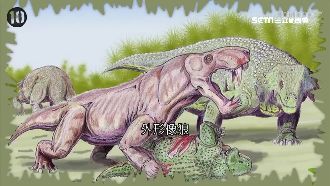 「史前巨獸」大揭密！凶猛度大勝恐龍