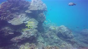 潛水,丟包,減壓,屏東,恆春,潛水店,靠北潛水