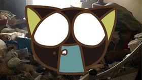 泰國,租客,房東,垃圾場,垃圾,發霉,長毛,髒亂,噁心　圖／翻攝自泰國星暹微薄　https://goo.gl/AWVt0F