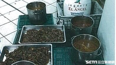「咖啡弄」遭投訴髒亂　稽查結果出爐