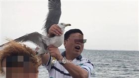 大陸,遊客,素質,海鷗,掐,拍照,合影
http://www.weibo.com/1260950155/F7tKl4nxs?type=comment#_rnd1497330849928