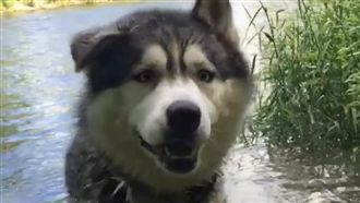 影／月月甩頭慢動作　看了讓人好療癒