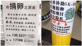 陸卵子黑市　顏值、學歷決定價格 翻攝自微博