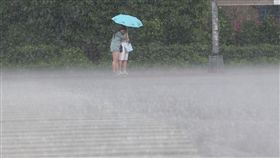 下雨,降雨,陣雨,天氣,氣象,雨天
圖／中央社
