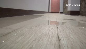 才租2個月就漏水…房東拿發霉房敷衍