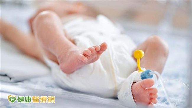 白血病小生命　後線化療拔贏命運