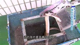 比起救火消防弟兄更常捕蜂捉蛇，被蛇咬還無法申請因公補助。