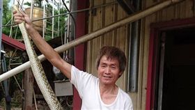 微笑拉直巨蟒！阿伯拍照姿勢太狂　網友：好大隻