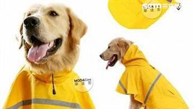 毛小孩,寵物,博客來,商品。