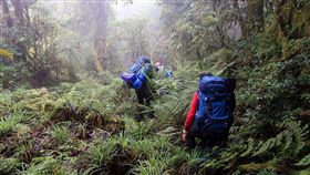 登山客失聯一個月今天山中報平安(圖/中央社)