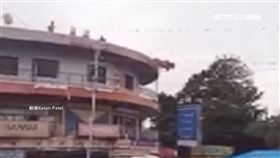  牛也會厭世? 徘徊頂樓踱步突縱身一躍