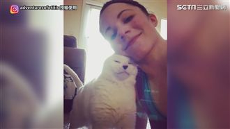 無耳貓變寵物　全因新主人太霸氣