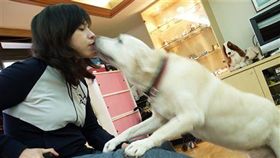 深夜惡火燒死婦，死者為知名女作家曹燕婷。（圖／翻攝畫面）