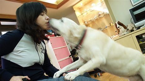 鼻酸！女作家命喪火海　愛犬仍想衝回