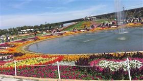 FB上設定為公開的照片、影片，著作權歸屬誰？