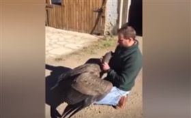 ▲圖／翻攝自YouTube