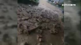 泰安土石流1200