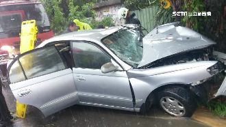 沒見前面一窪水！駕駛打滑撞樹困車裡