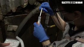 新北市衛生局今（15）天查獲新店一處無市招豆芽菜製造廠非法進行豆芽菜漂白。（圖／新北市衛生局提供）