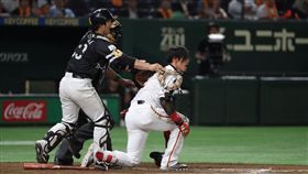 陽岱鋼遭頭部觸身球後起身飆罵（圖／翻攝自巨人推特）