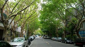 民生社區,居民,PTT,文青,咖啡廳　圖／翻攝自Yu-Ching Chu　https://goo.gl/cp1LRv