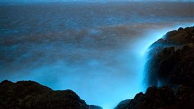 台灣,馬祖,旅遊,春季,藍眼淚　圖／翻攝自馬祖國家風景區生態旅遊網
