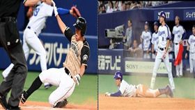 組圖　火腿VS中日