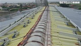 布袋鎮,永安國小,白骨