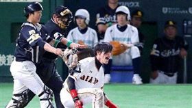 陽岱鋼觸身球（圖／翻攝自推特）