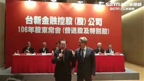 彰銀,龍巖,股東會,公股,台新金