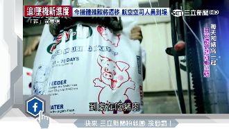 異鄉打拼！他靠「豬飼料」東山再起