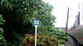 台鐵撞傷路人 圖／台鐵提供