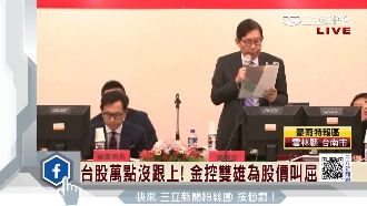 台股萬點沒跟上　金控雙雄為股價喊屈