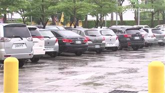 小鳥「空投」最愛　這顏色超走鳥屎運